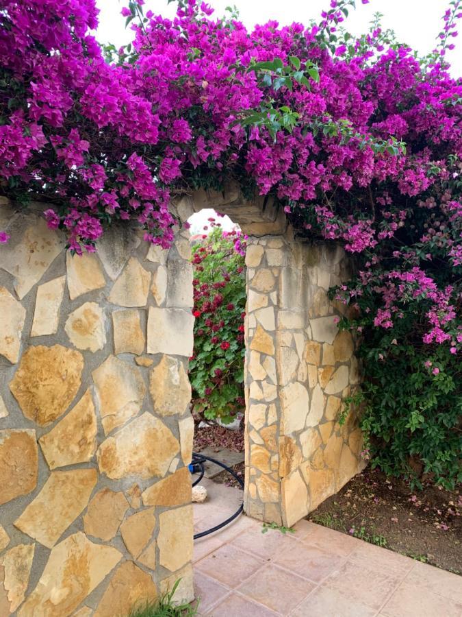 Villa Sunlight Sardegna Capitana Bagian luar foto